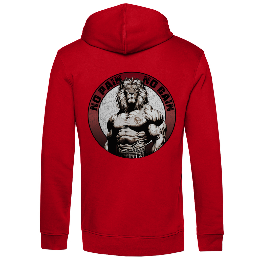 LD HOODIE - NO PAIN, NO GAIN