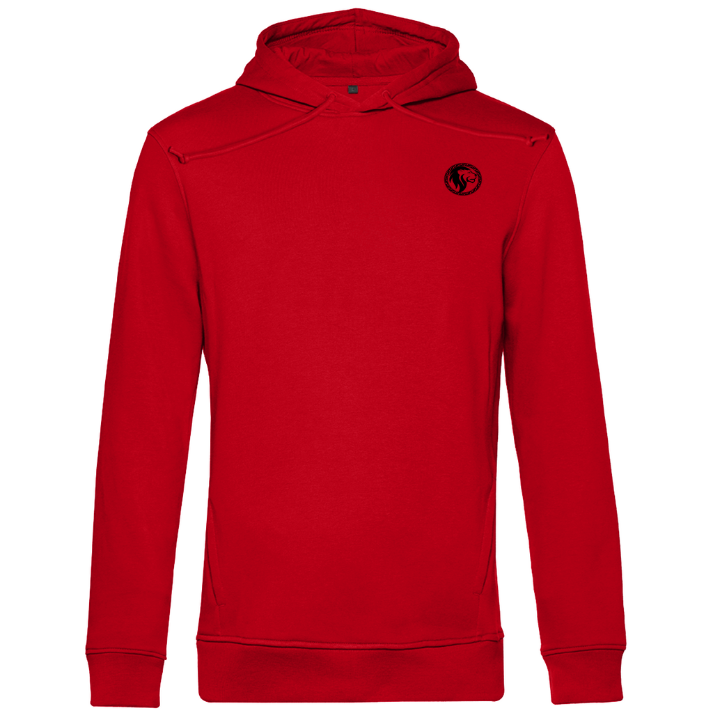 LD HOODIE - PROJECT ROAR